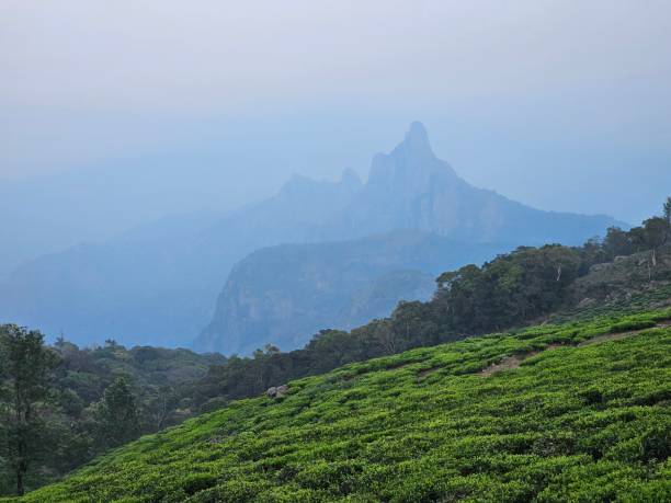 The Best Time to Visit Kotagiri: A Seasonal Guide