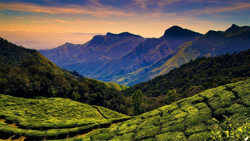 Best Accommodation in Ooty